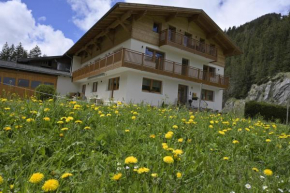 Lechtal-Pur-Aparts, Holzgau